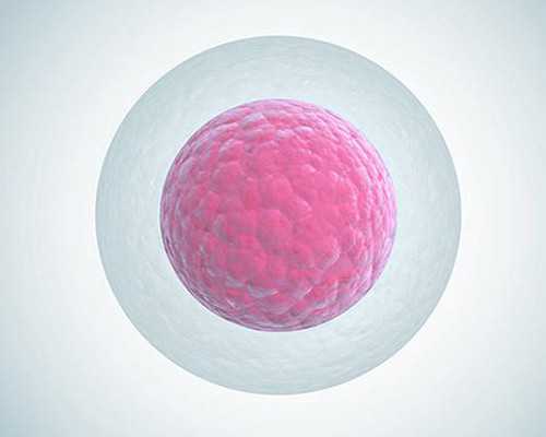 浙江代怀助孕公司,黑龙江天元妇产医院生殖科可以做供卵（借卵）试管婴儿吗